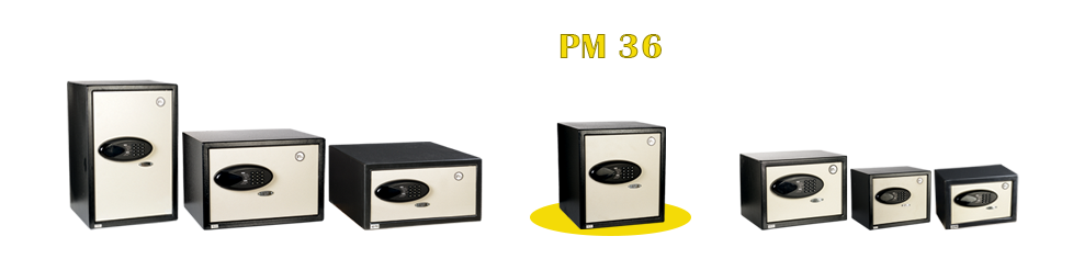 تصویر سری PM-36